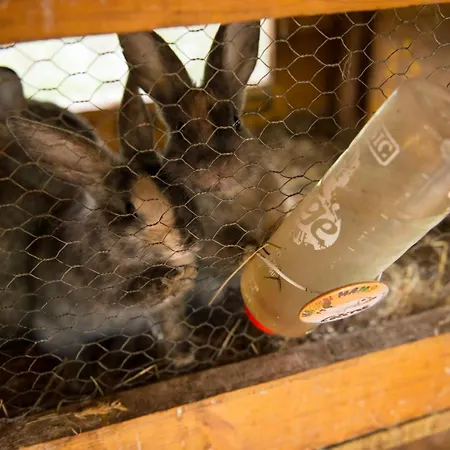 Salaterhof Embach Casa de hóspedes Lend