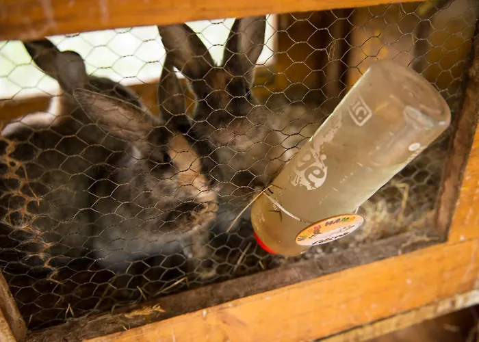 Salaterhof Embach Pensión Lend