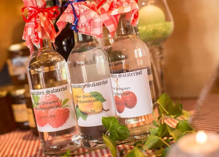 Salaterhof Embach 招待所 3*